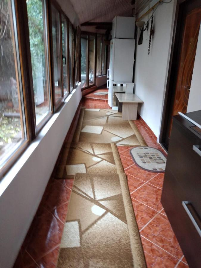 Ada-Ini House Villa Craiova Eksteriør bilde